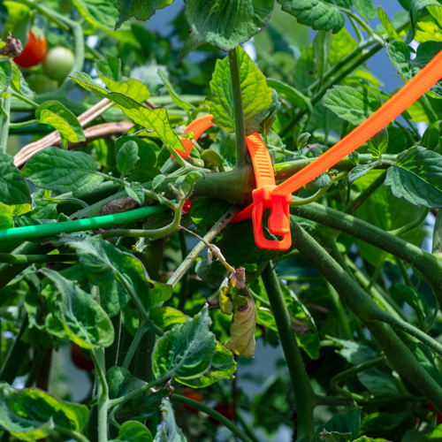 Flexiable and Adjustable