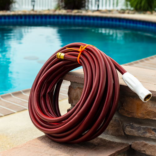 Organize and Recognize